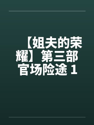 【姐夫的荣耀】第三部官场险途 16-20集 作者：小手by佚名封面