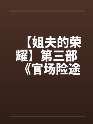 【姐夫的荣耀】第三部《官场险途》特别篇封面