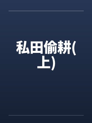 私田偷耕(上)封面