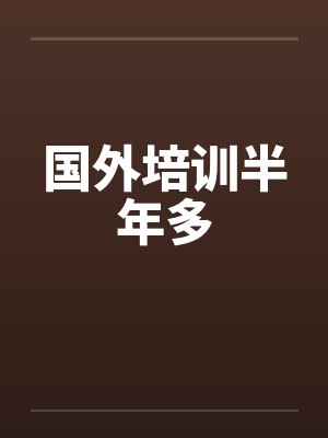 国外培训半年多封面