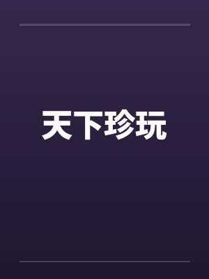 天下珍玩封面