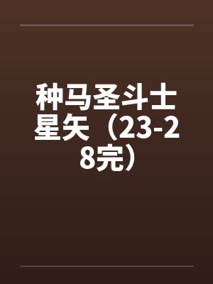 种马圣斗士星矢（23-28完）by佚名封面